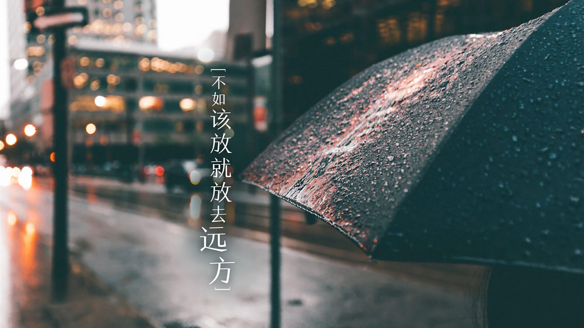 76人双星闪耀！，76人双帝