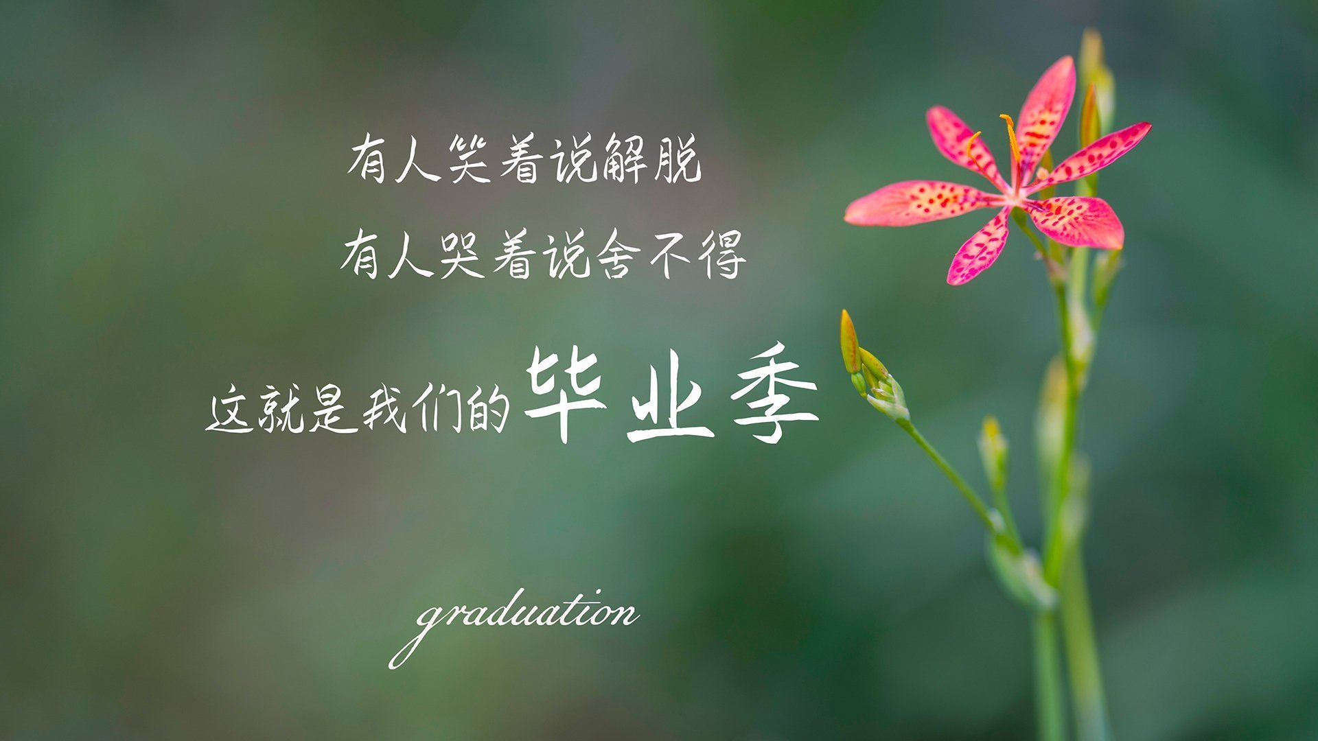 爱游戏体育app-C罗再创历史，国家队进球突破130个，c罗国家队进球数量统计