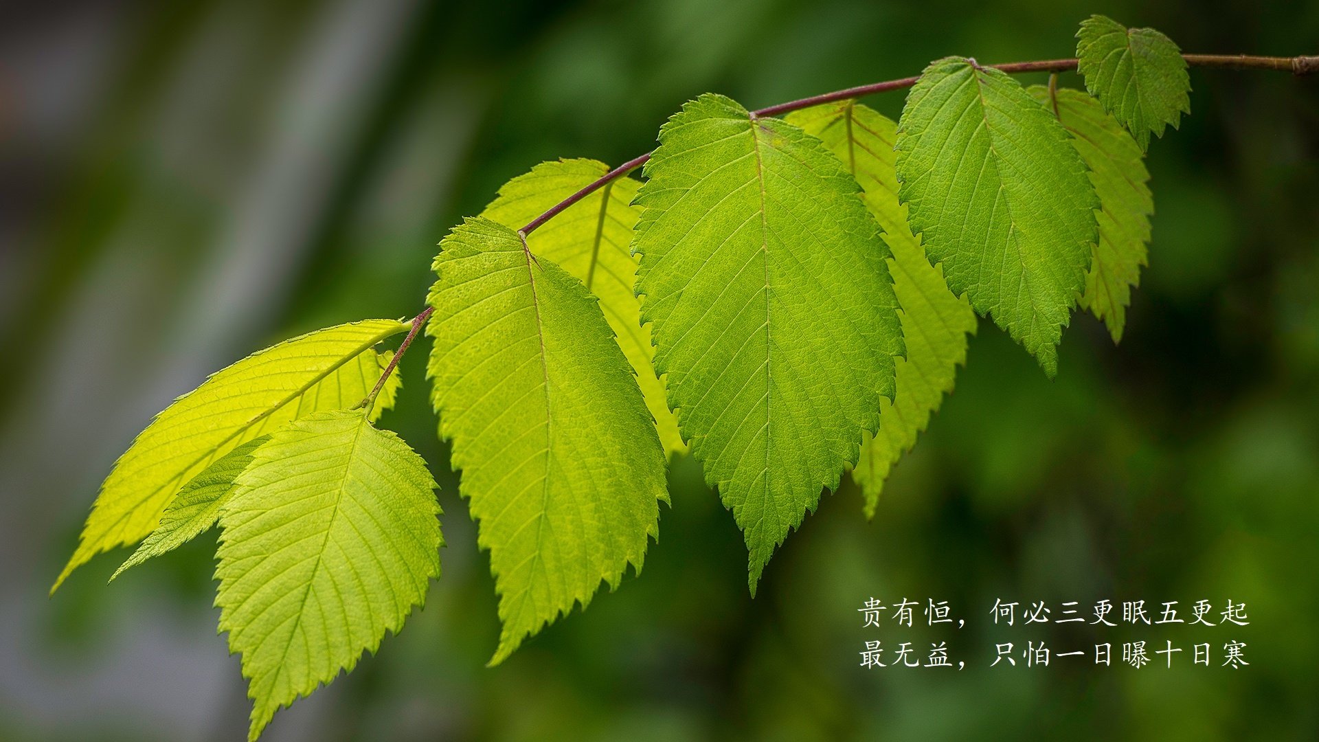 女足世界杯赛场气氛热烈，女足世界杯出现
