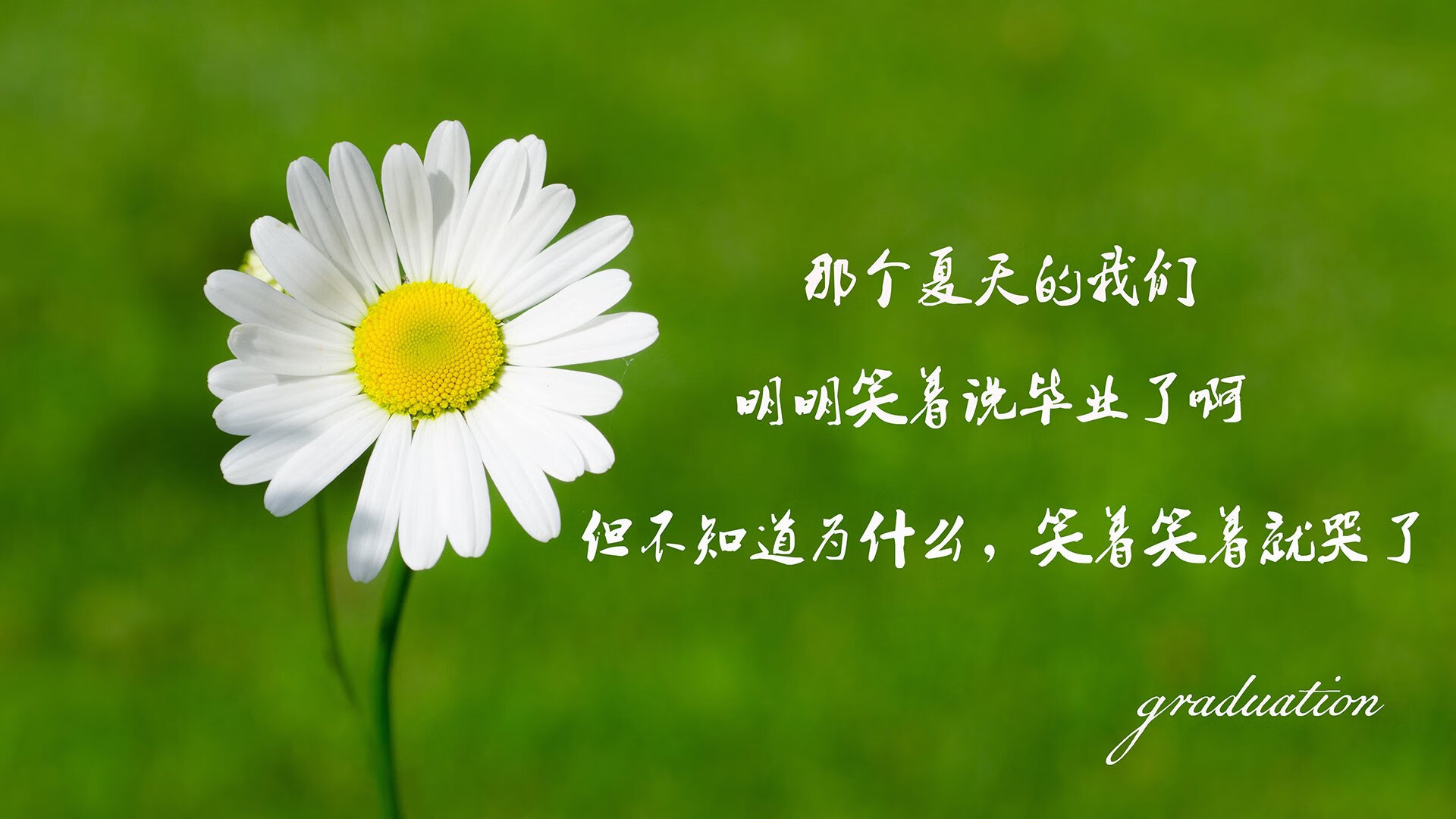 爱游戏中国官方网站平台-捷克队战平乌克兰，战绩或影响晋级形势，捷克最近战绩500