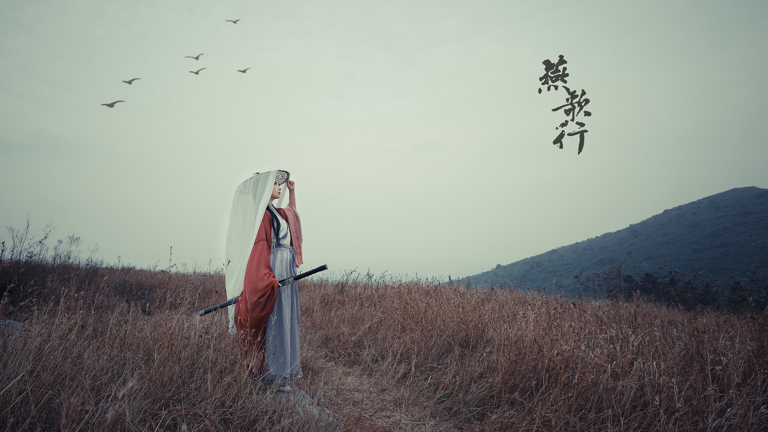 中国篮球教练员战术创新能力培养与评价体系建设,篮球教练技术