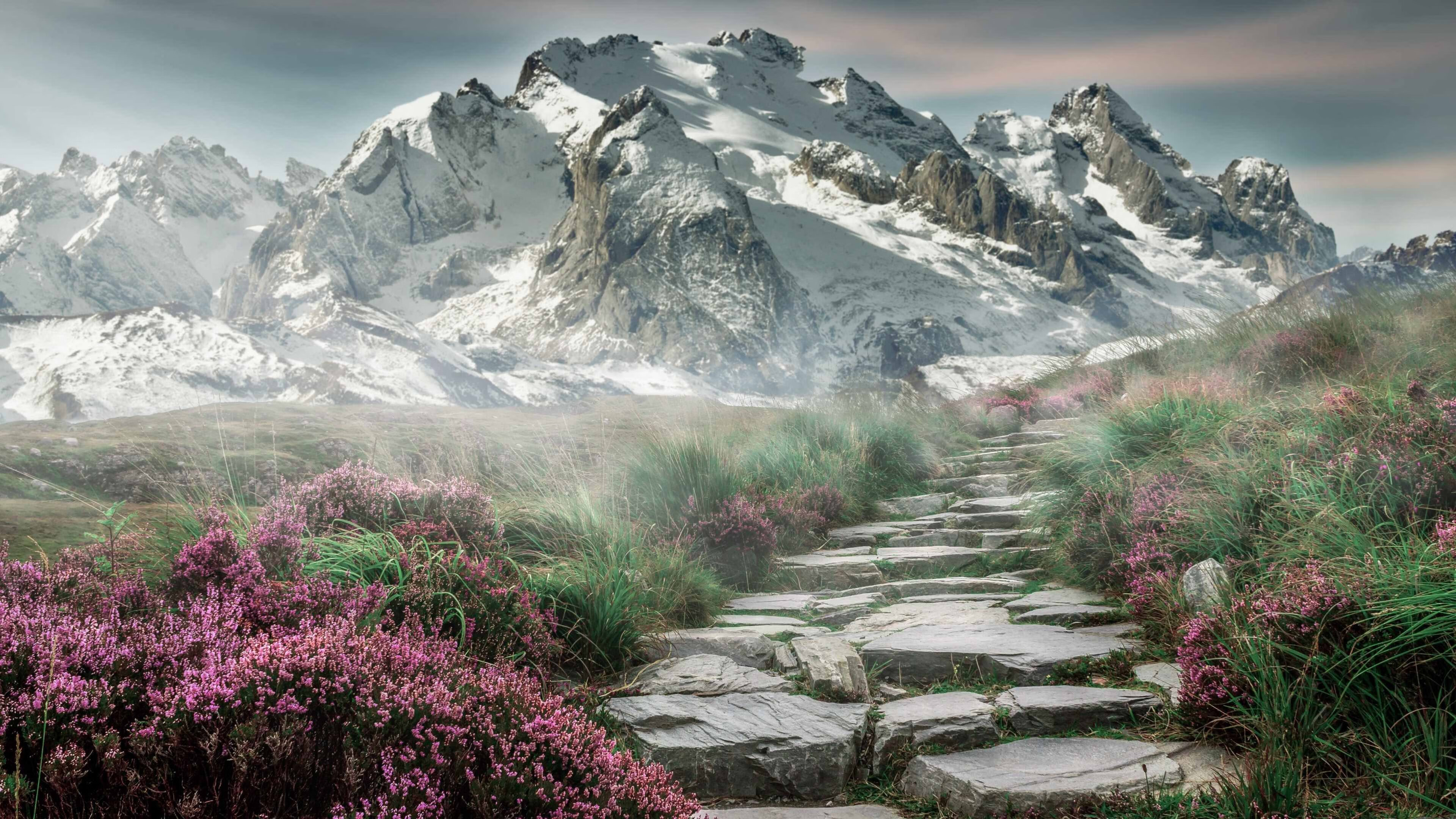 中国足球传球网络结构图与效率分析，足球传球分类