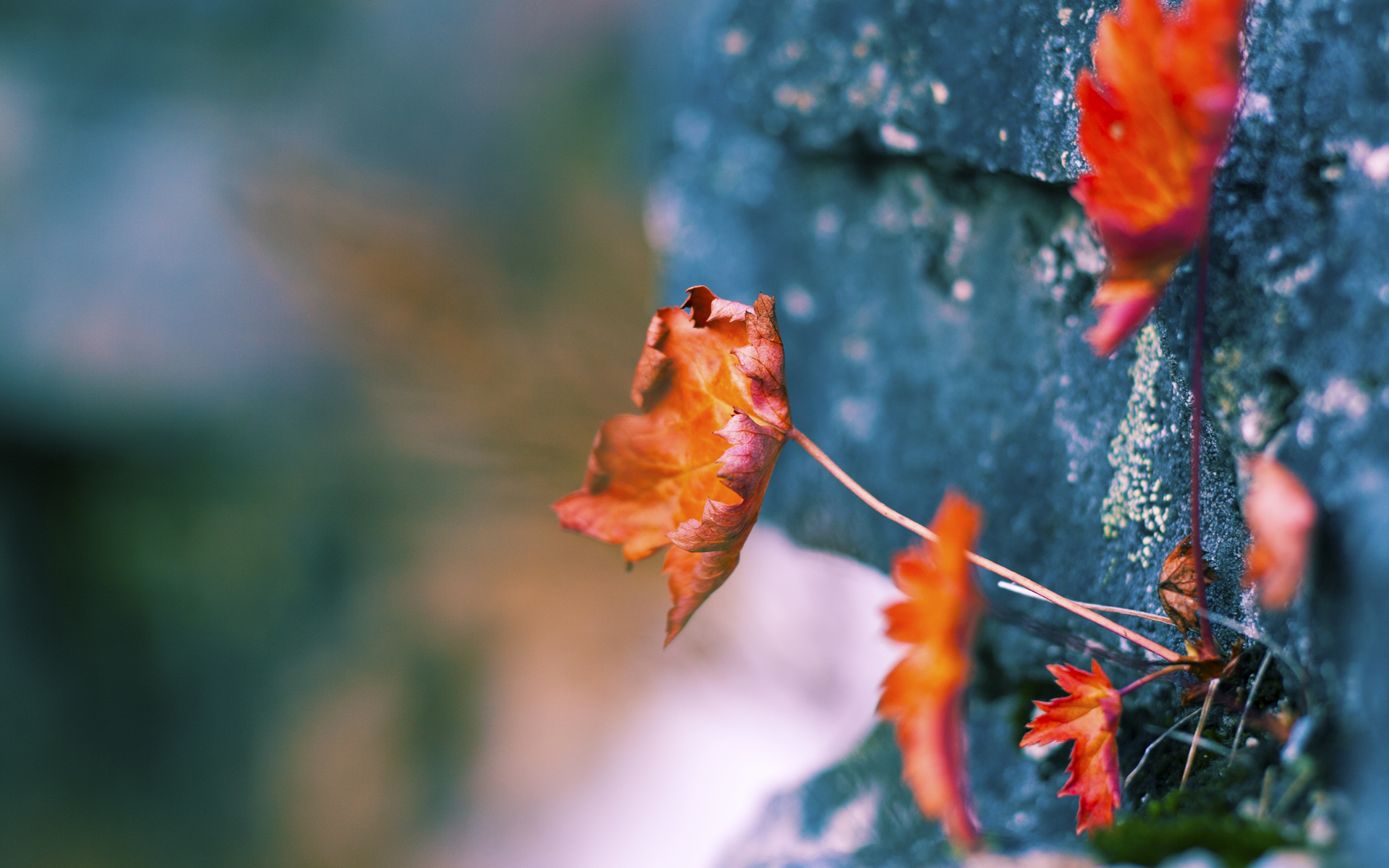 体育赛事观众满意度提升策略，体育比赛观众