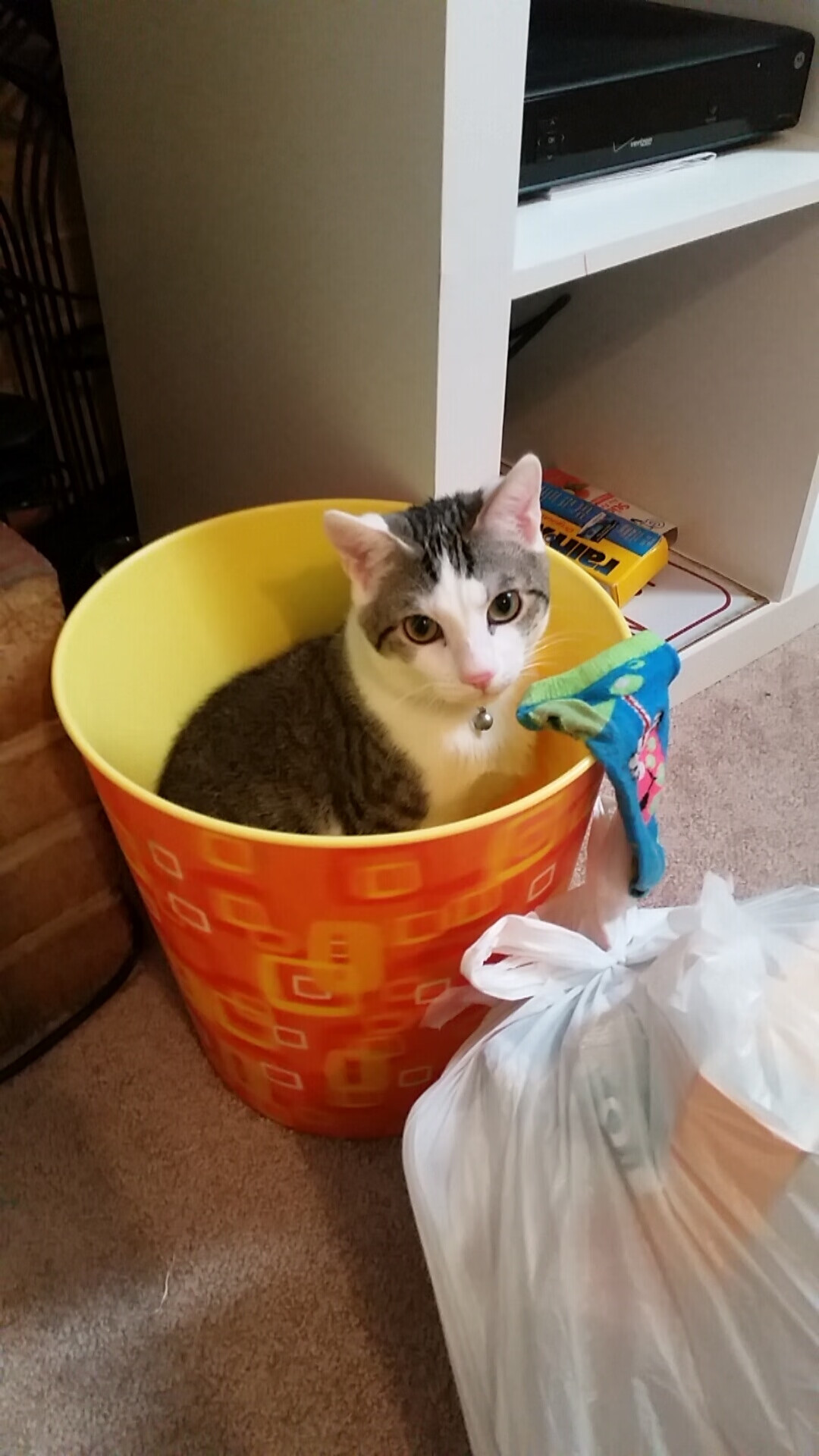 中国足球何时能真正融入国际舞台,中国足球何时冲出亚洲