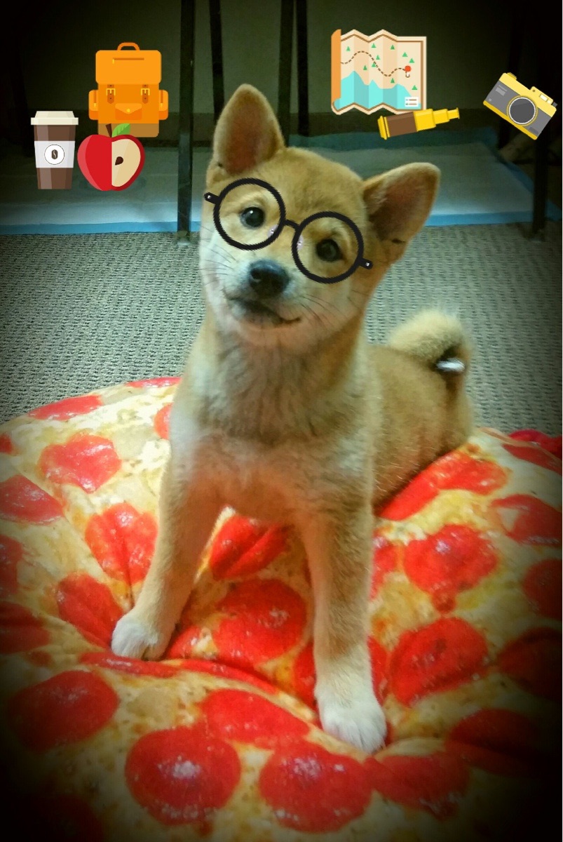 临场判断失误导致的关键失分回顾,临场发挥失常