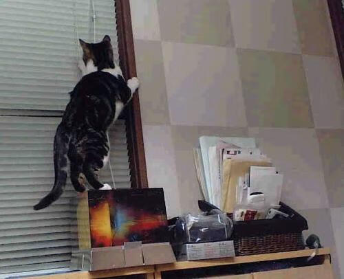 爱游戏电竞官网-奥预赛中国足球复仇 数据分析成焦点，国足奥运比赛