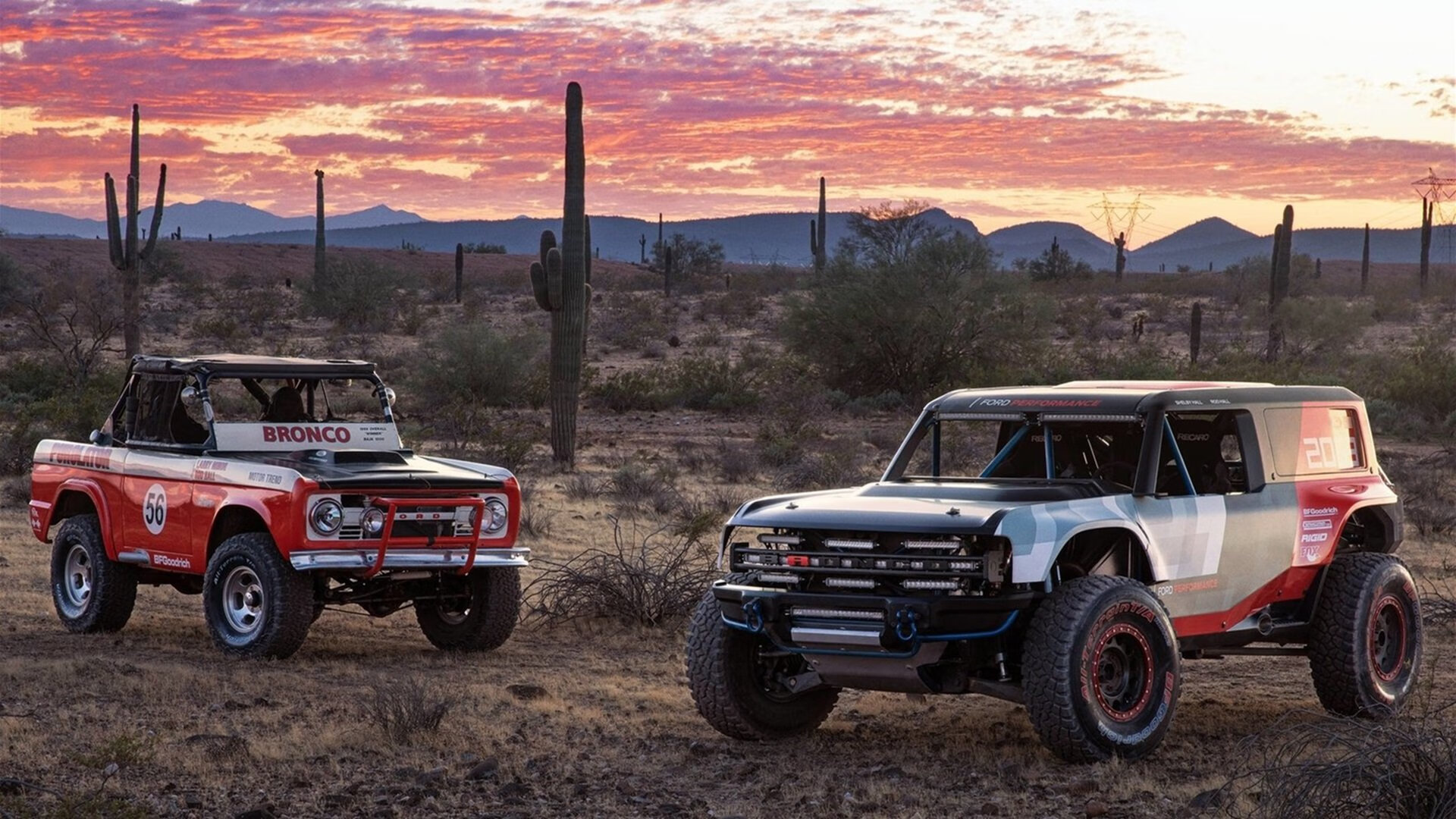 国王后卫训练中展示高强度突破能力令人惊叹，国王后卫训练中展示高强度突破能力令人惊叹的是