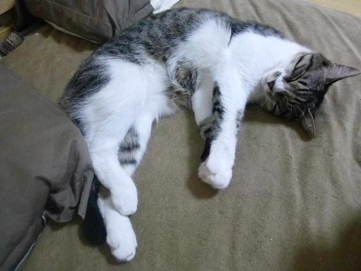 爱游戏官方网站-未来足球场馆实现全环节智能化管理，提升行业科技水平，足球场管理与服务方案