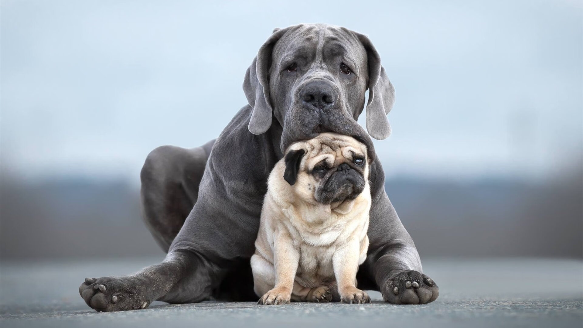 男子背泳100米匈牙利创个人最好成绩，匈牙利男子游泳