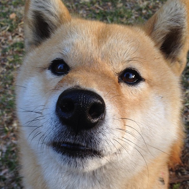 英国男子接力队用实力回应所有质疑，英国接力银牌被取消