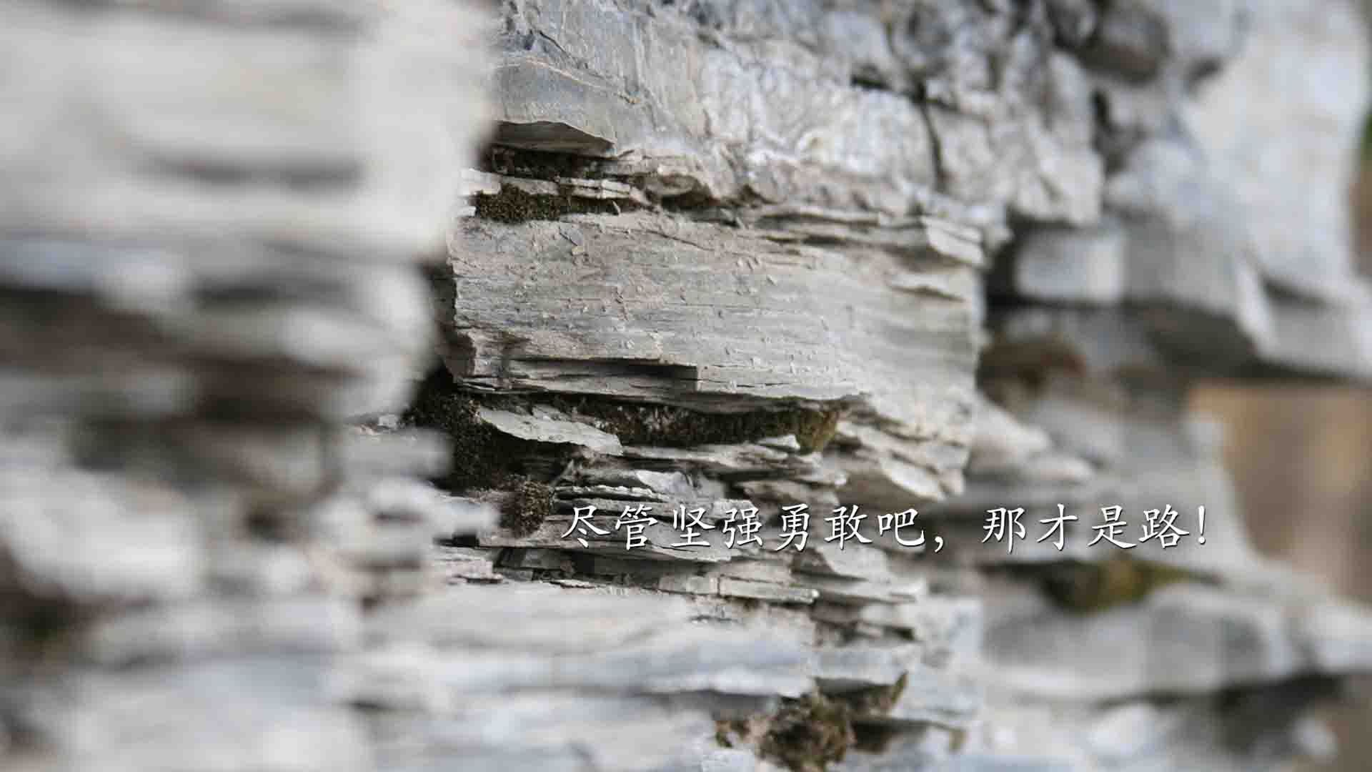 AYX体育官网-赛尔·阿尔斯塔：南非队防守战术的完美执行者，阿尔塞塔斯一世