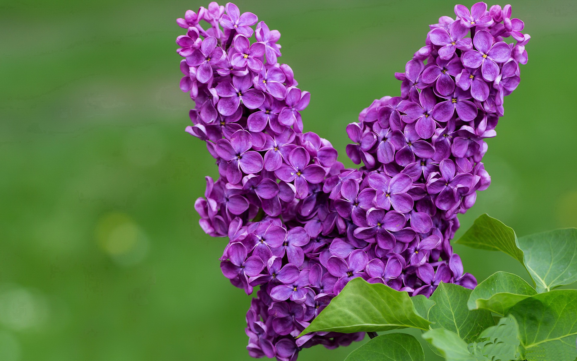 跨界合作推动足球运动与文化创意深度融合，跨界合作推动足球运动与文化创意深度融合的例子